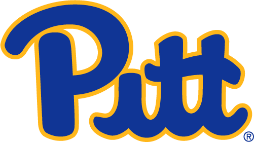 Pittsburgh Panthers 2019-Pres Primary Logo diy iron on heat transfer...